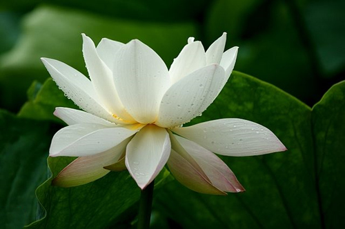 �ʸ�����Ϊ��Ҫ��������?