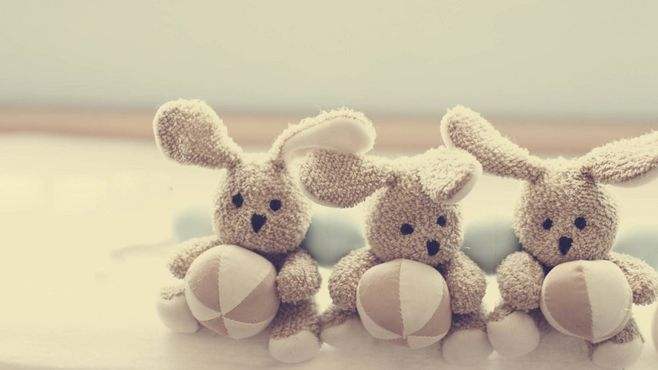 ���ڶ����ֹ�������̥��